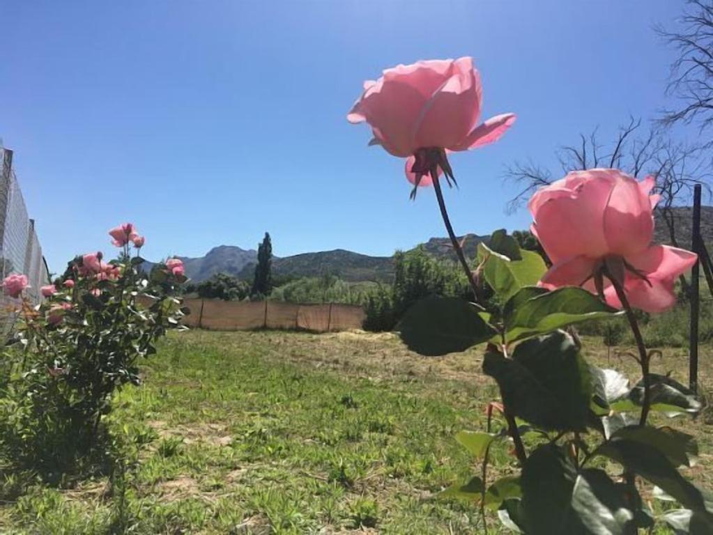 Casa Rural La Maestra روندا المظهر الخارجي الصورة